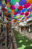 Águeda - Os Chapéus-de-Chuva Coloridos