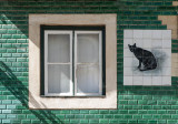 A Verde Casa do Gato Preto