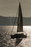 Passeios no Tejo