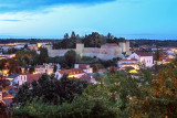 O Castelo de Torres Novas (MN)