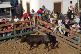 Festas de Benavente