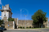 Castelo de Beja (MN)