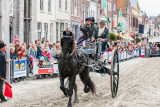 Paardenmarkt Vianen 2014 Poster