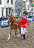 Paardenmarkt Vianen  The Netherlands