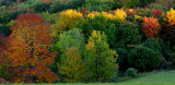 October 2016 - changing leaves in the Vestal, New York area