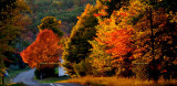 October 2016 - changing leaves in the Vestal, New York area