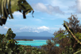 Overlooking the Lagoon, Bora Bora.