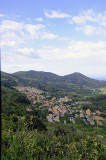 Verdant View from Capoliveri, Elba, Italy.