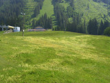 MOUNTAINSIDE MEADOW