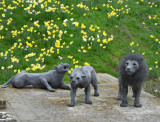 ROYAL BEAST SCULPTURES