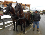 Fiaker horse & carriage