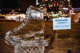20170113_Canalside_Chillabration_web-125789.jpg