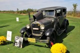1929 Ford Model A Deluxe Sedan, owners: Robert & Madeline Luczun, Clifton, NJ (8916)