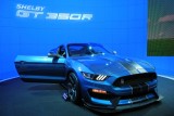 2016 Ford Shelby GT350R Mustang (5379)