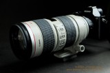 Canon 70-200mm f/2.8 ISObviously an overkill!