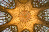 The Chapter House Roof