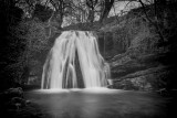 Janets Foss