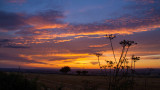 The Yorkshire Wolds