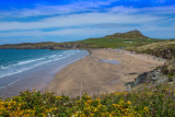 Whitesands Beach