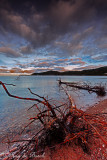 5D3_7456-Edit-1.jpg