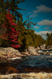 5D3_7657-Edit-1.jpg