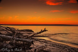 5D3_8271-Edit-1.jpg