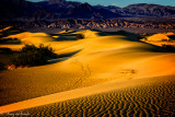 Death_Valley-0967.jpg