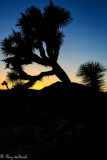 Death_Valley-9167.jpg