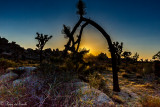 Death_Valley-9436.jpg