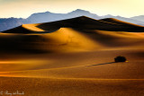 Death Valley NP