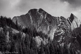 Peter Loughheed Provincial Park_20140929-IMG_9629-1.jpg