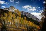 Aspen in Bow Valley_20141001-WE1A0386-1.jpg