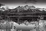20141002-WE1A0470-1.jpg