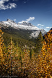 20141002-WE1A0818-2.jpg