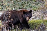 20141004-IMG_0110-1.jpg