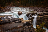 Athabaska River_20141004-WE1A1143-1.jpg