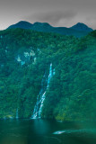 At Milford Sound, IMG_0964-Edit-Edit.jpg