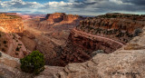 Canyonlands Panorama