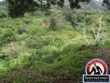 Penonome, Cocle, Panama Apartment For Sale - Raw land for Sale