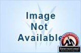 Nairobi, Nairobi, Kenya Lots Land For Sale - 5 acres in Nairobi Town