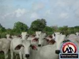 Bolivar, Bolivar, Venezuela Room For Sale - Altagracia Ranch