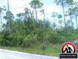 Freeport, Grand Bahama, Bahamas Lots Land For Sale - Property For Sale