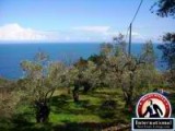 Agios Ioannis , Magnesia, Eastern Pelion, Mousesi-Zagora, Greece Lots Land  For Sale - Land at Eastern Pelion Close to Sea