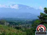 La Suiza de Turrialba, Cartago, Costa Rica Lots Land For Sale - Land for Sale in Costa Rica with Views