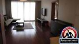 Shanghai, Shanghai, China Apartment Rental - Bright 3Br Apt in Top of City
