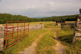 Farm Lane