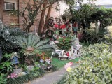 Algiers Garden