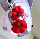 purse poppy