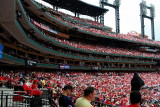 Cardinals4-23-06-26.jpg