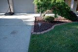 Our New House - Magnolia Ave.